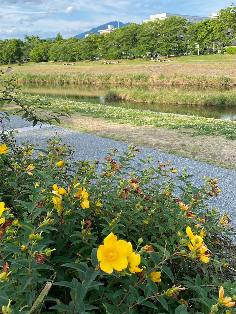 f:id:kazenokomichi:20240623180324j:image