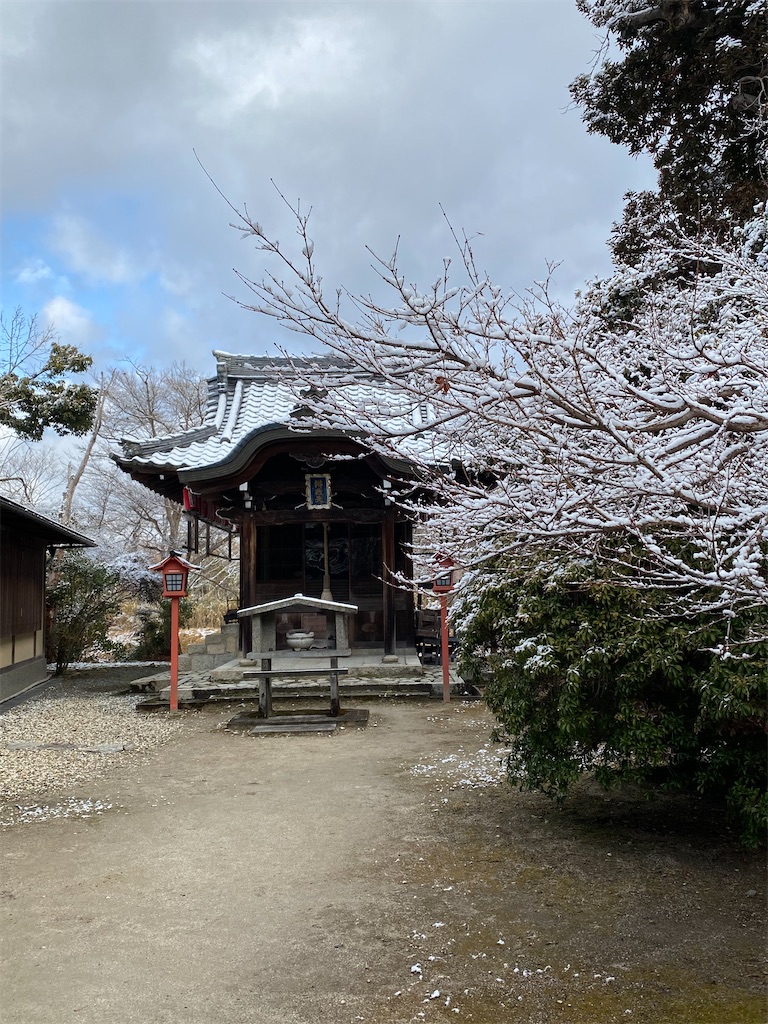 f:id:kazenokomichi:20250219002106j:image