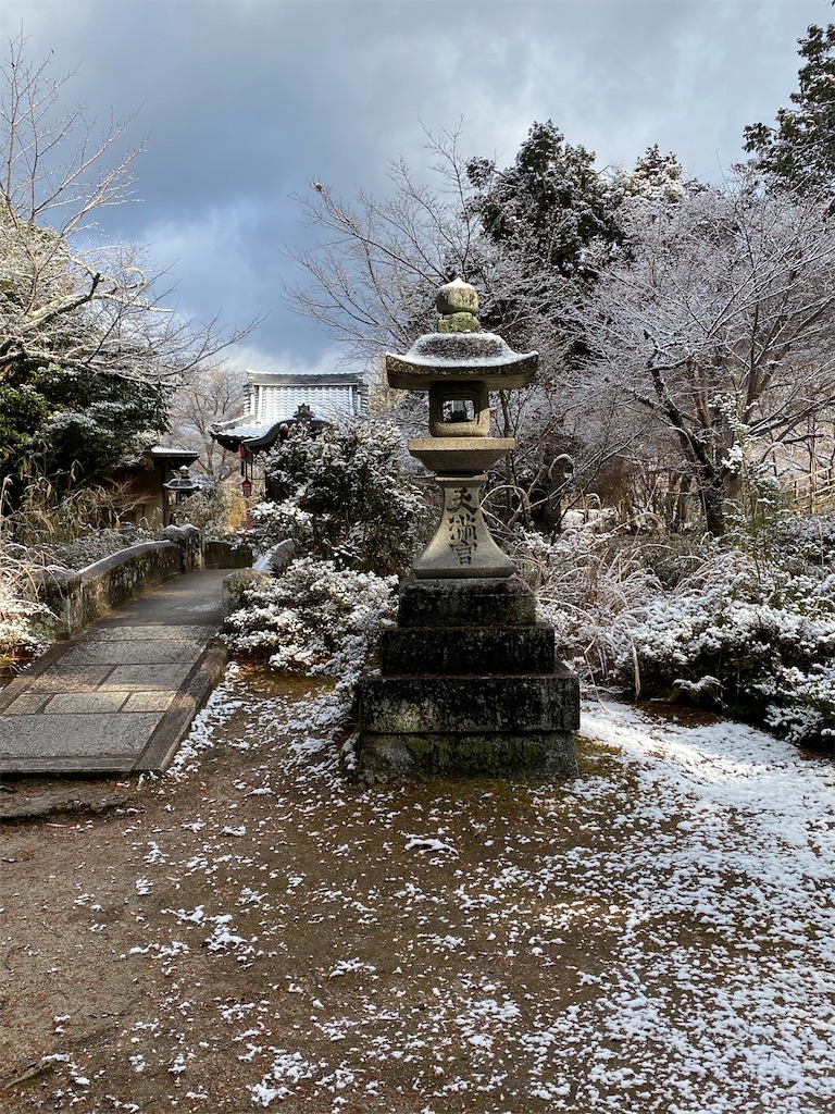 f:id:kazenokomichi:20250219002124j:image