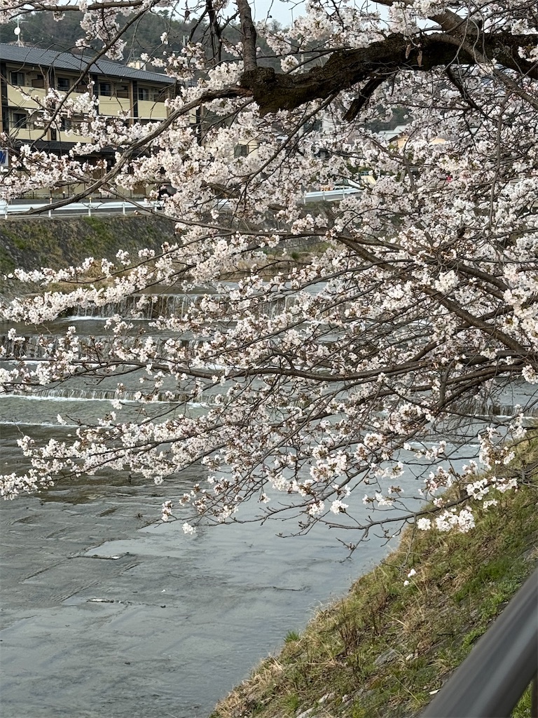 f:id:kazenokomichi:20260402144653j:image