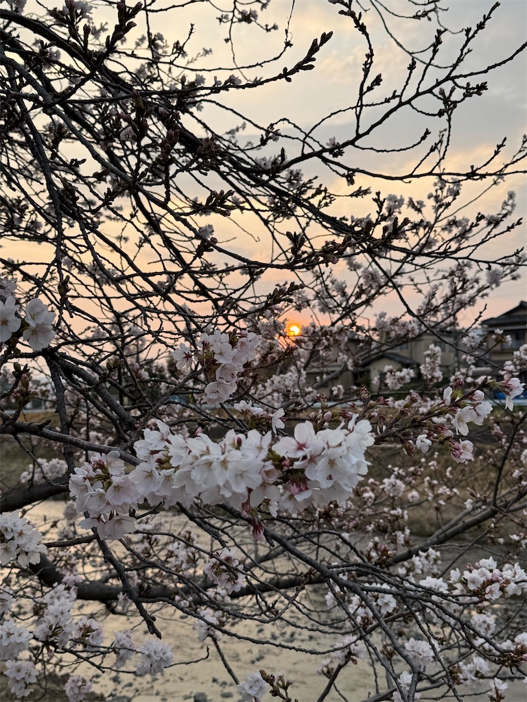 f:id:kazenokomichi:20260402144700j:image