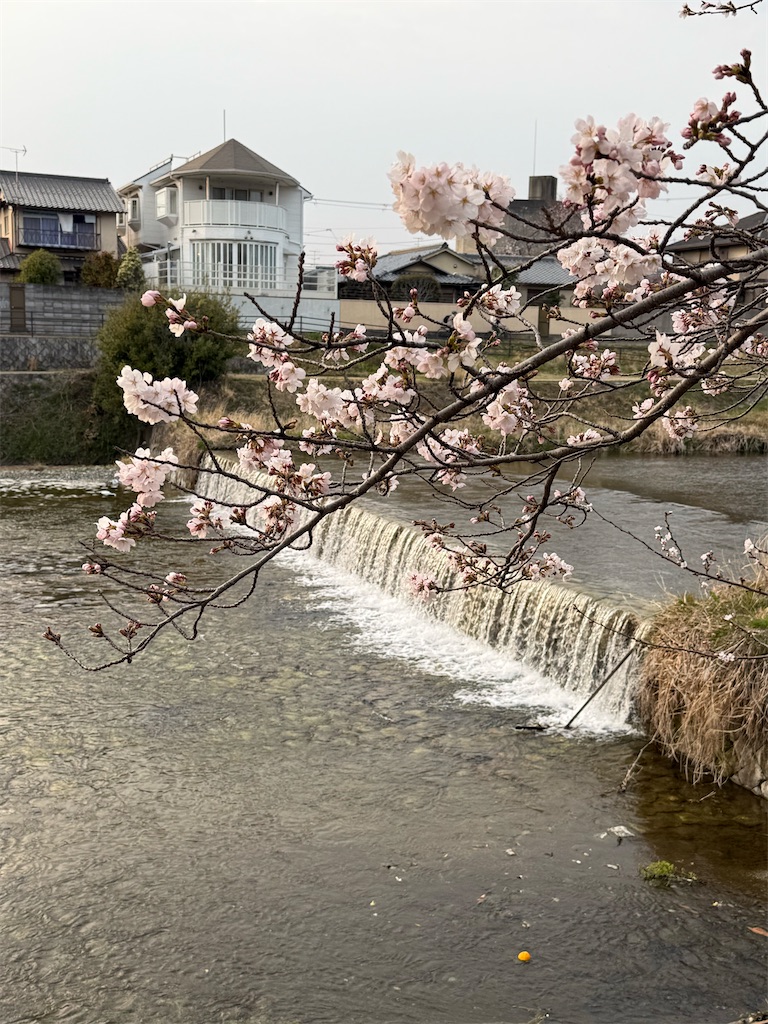 f:id:kazenokomichi:20260402145219j:image