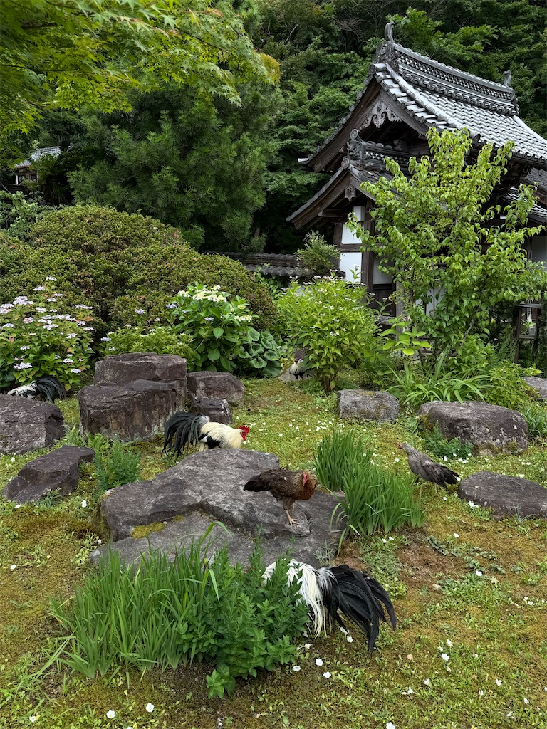 f:id:kazenokomichi:20260708174302j:image