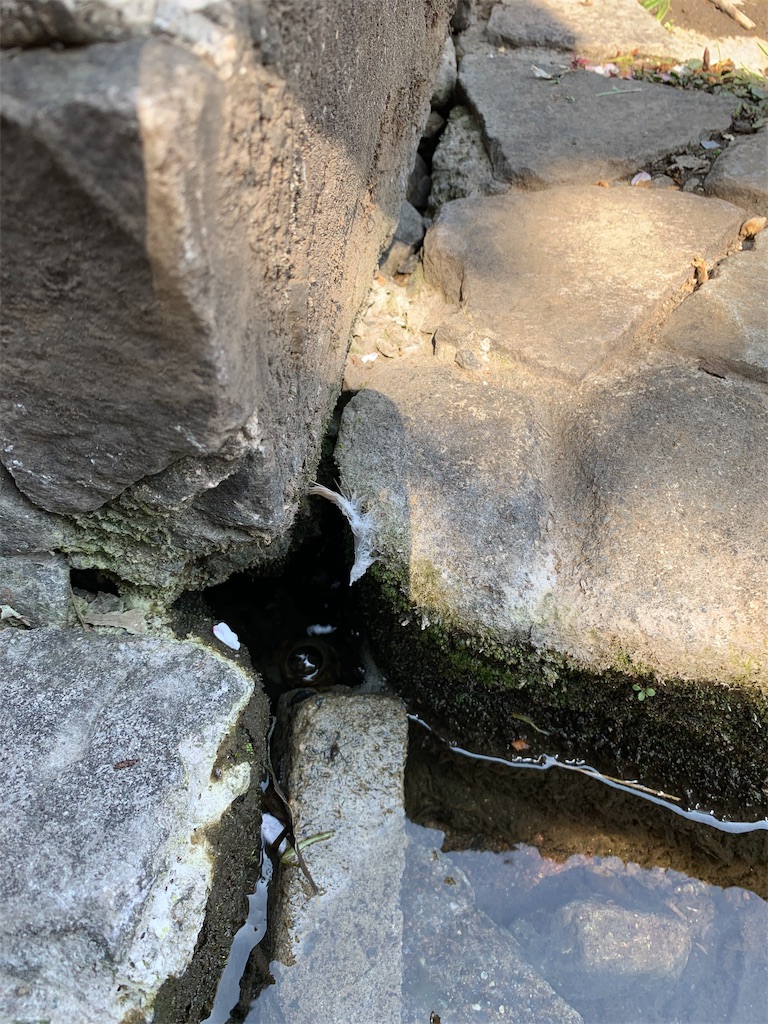 f:id:kazenomata26:20190509054155j:image f:id:kazenomata26:20190509054155j:image