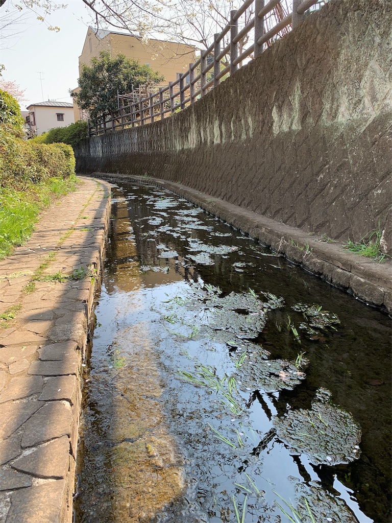 f:id:kazenomata26:20190509054609j:image f:id:kazenomata26:20190509054609j:image