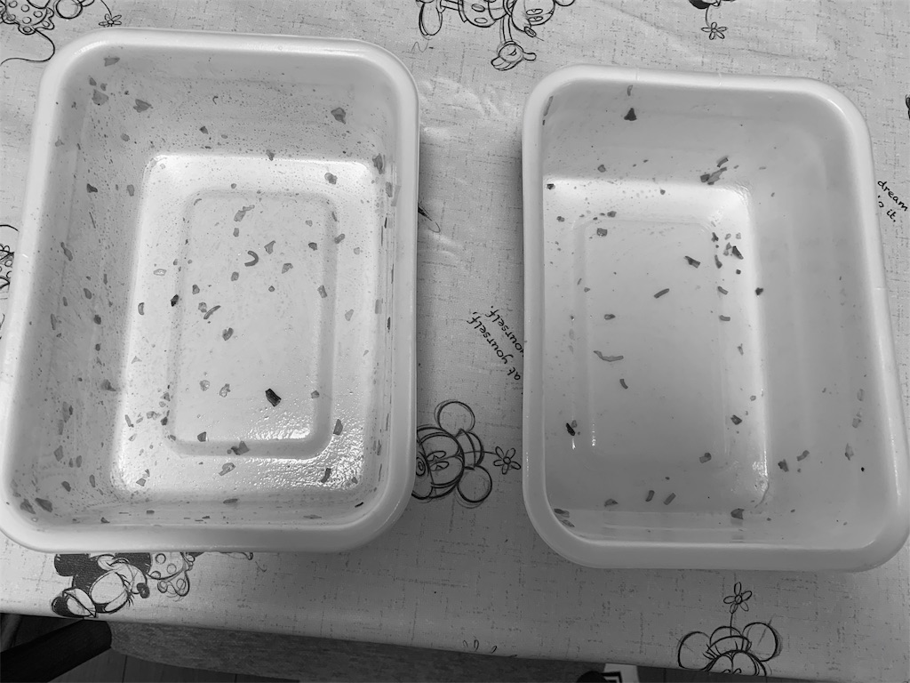 f:id:kazenomata26:20190718202517j:image