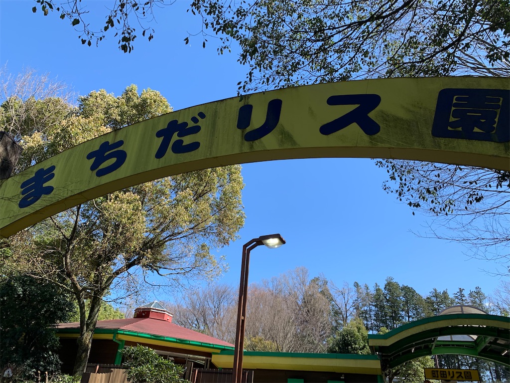 f:id:kazenomata26:20200321115337j:image f:id:kazenomata26:20200321115337j:image