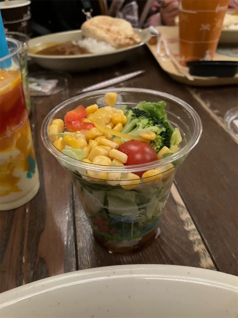f:id:kazenomata26:20250119161500j:image