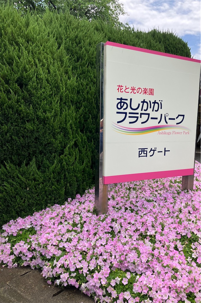 f:id:kazenomata26:20260505045452j:image
