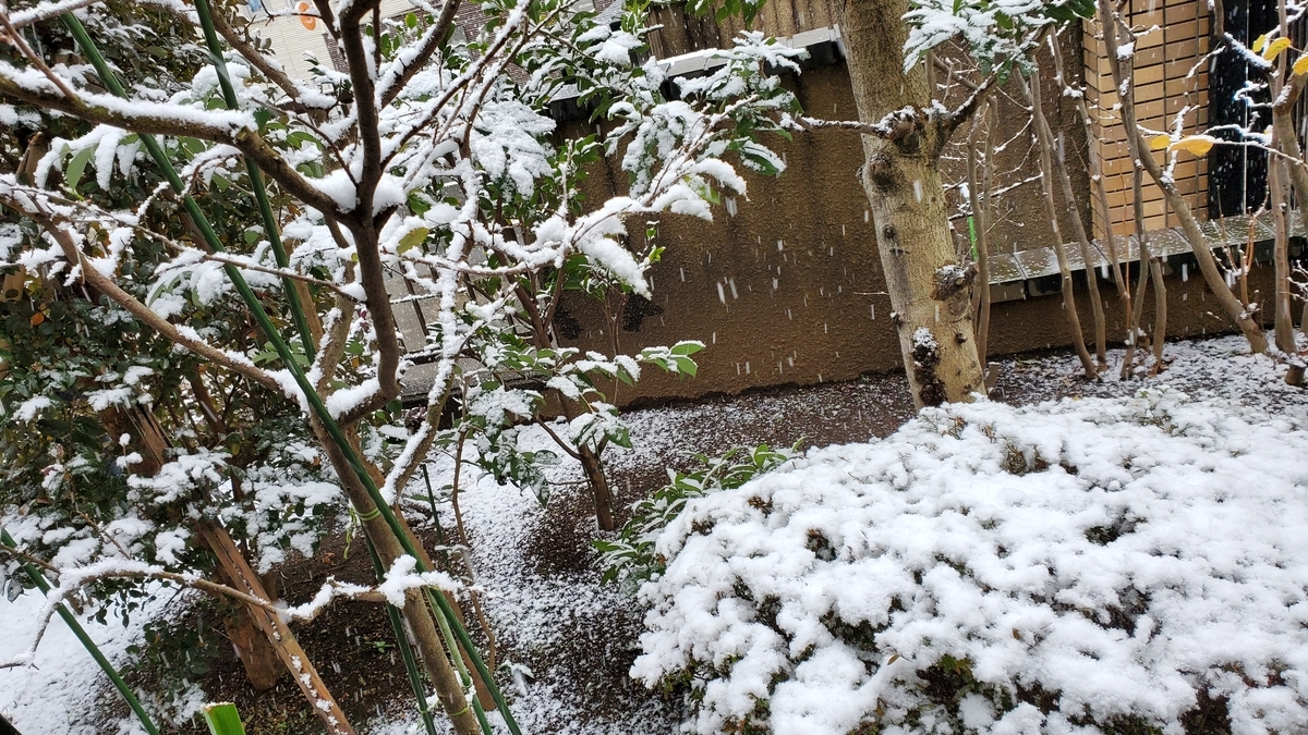 f:id:kazenosanpo:20220106143003j:plain