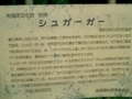多良間島・シュガーガー