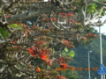 20100410165235