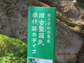 読谷村古堅旧国民学校のデイゴ