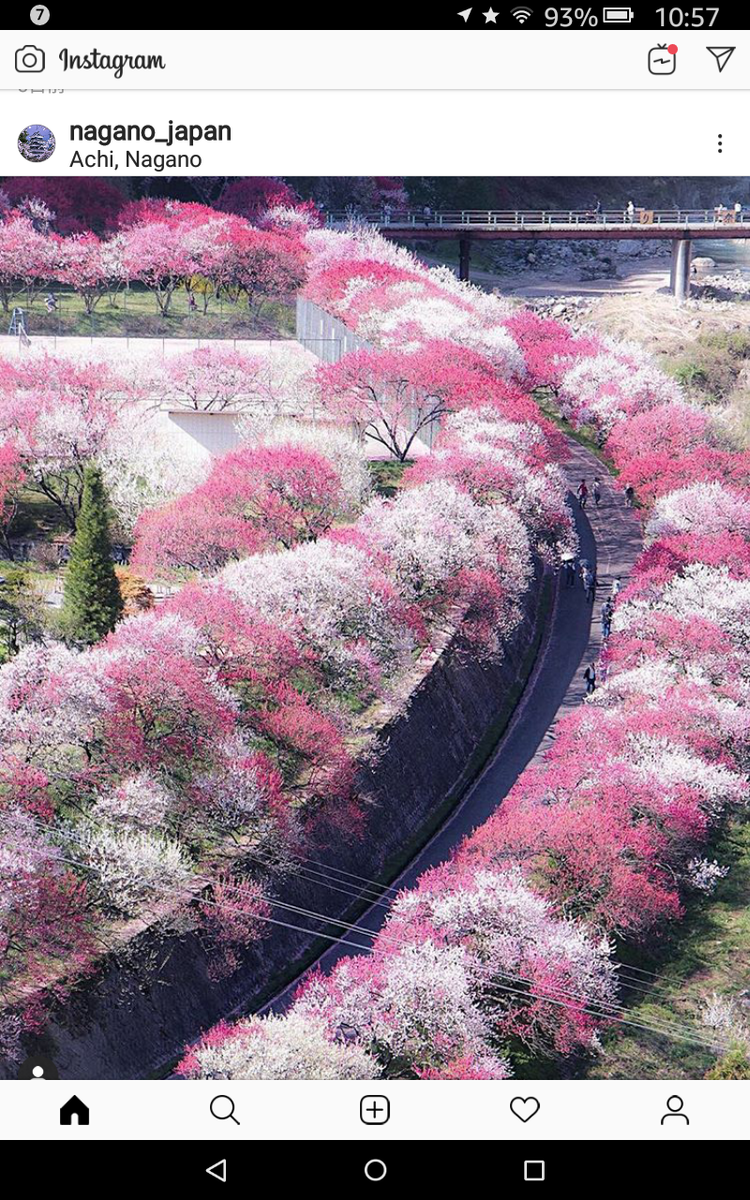 山ももの里 街道 instagramの画像から