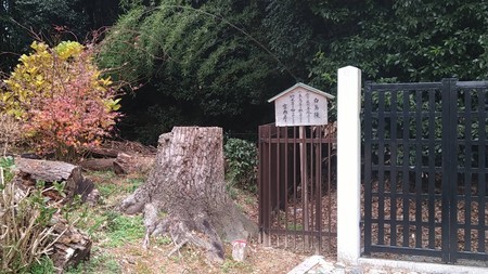 f:id:kazepapa:20210111165320j:plain