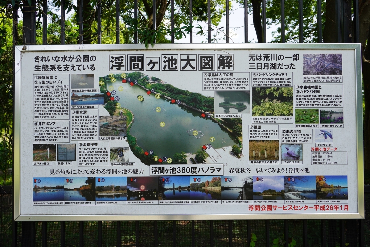 f:id:kazesampo:20210501011949j:plain