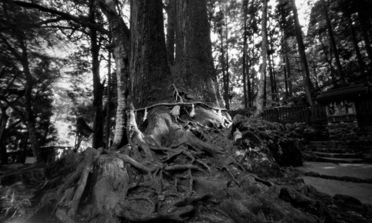 f:id:kazetabi:20200601001626j:plain