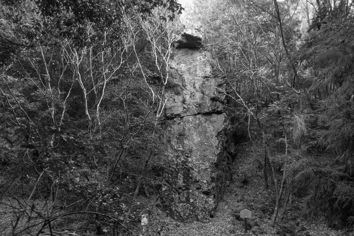 f:id:kazetabi:20201126161635j:plain