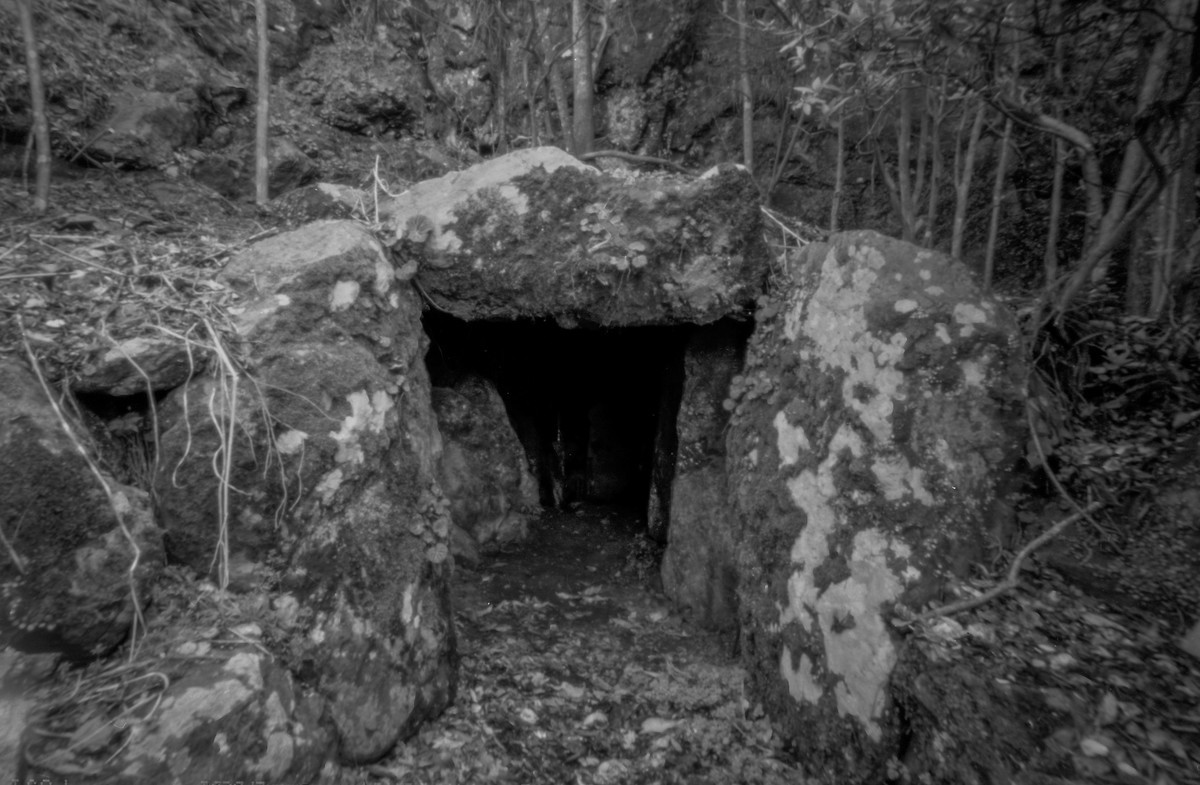 f:id:kazetabi:20210518095534j:plain