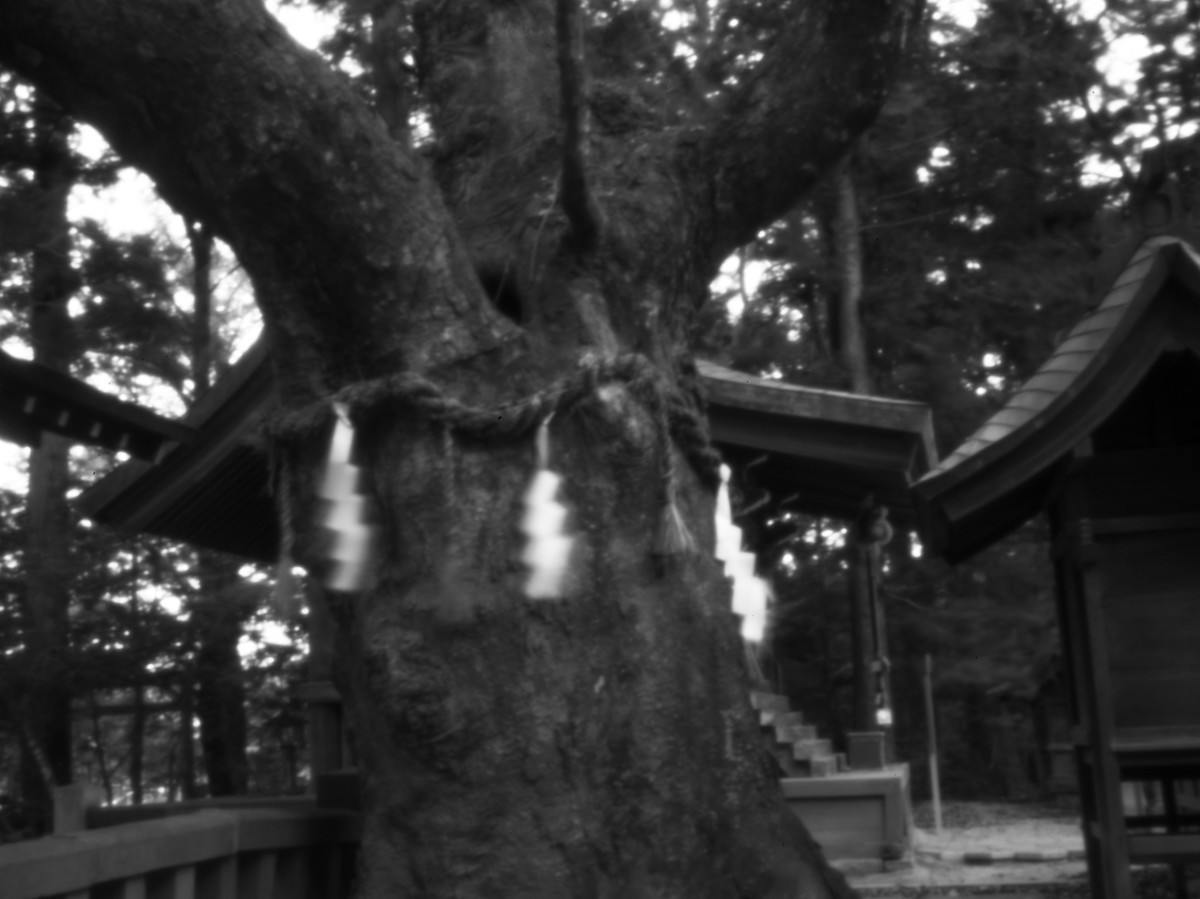 f:id:kazetabi:20211109160450j:plain