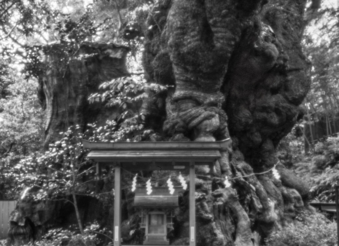 f:id:kazetabi:20211224115541j:plain