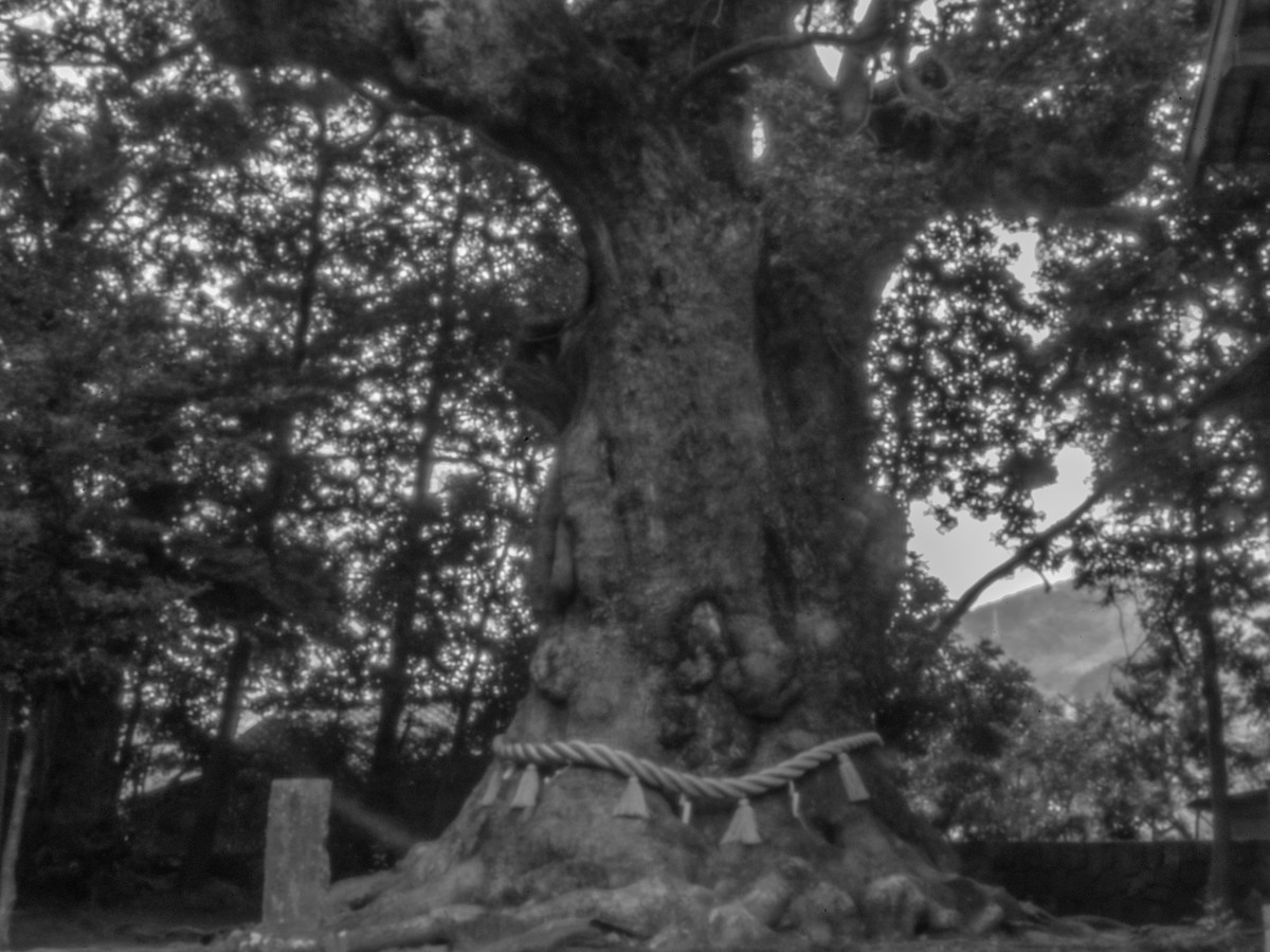 f:id:kazetabi:20220122155411j:plain