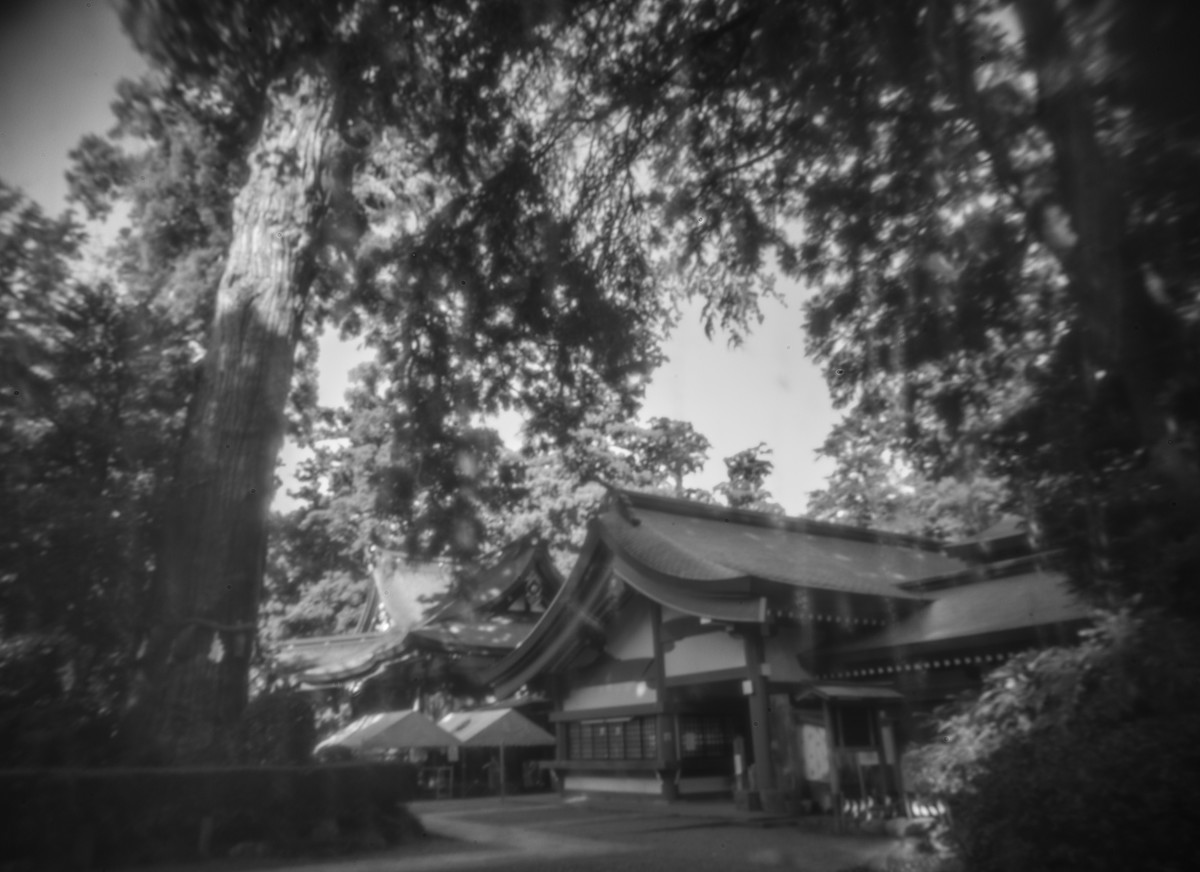 第1263回 日本文化の根本原理 - 風の旅人 〜放浪のすすめ〜