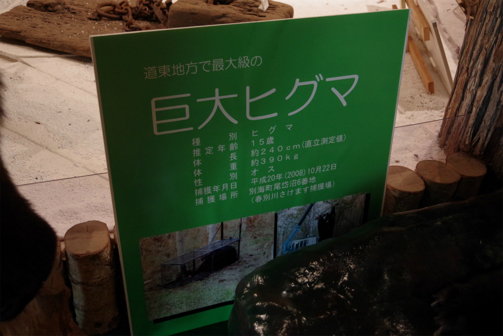 f:id:kazetotukito:20200913233313j:plain