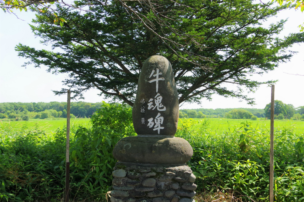 f:id:kazetotukito:20210822015538j:plain