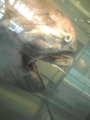20130306160217