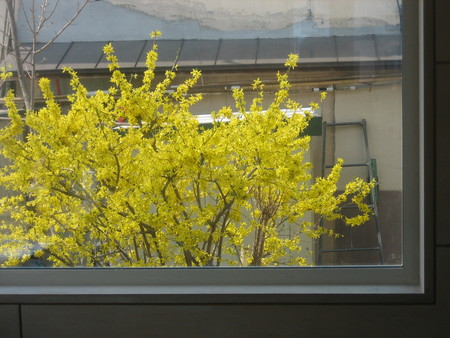 f:id:kazgeo:20080426095959j:image