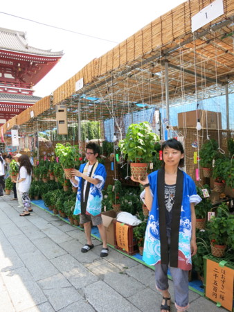f:id:kazgeo:20130709100205j:image