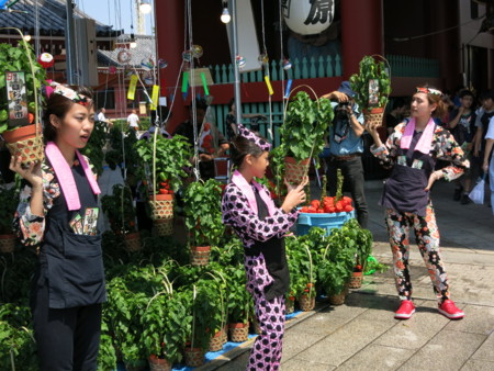 f:id:kazgeo:20130709100310j:image