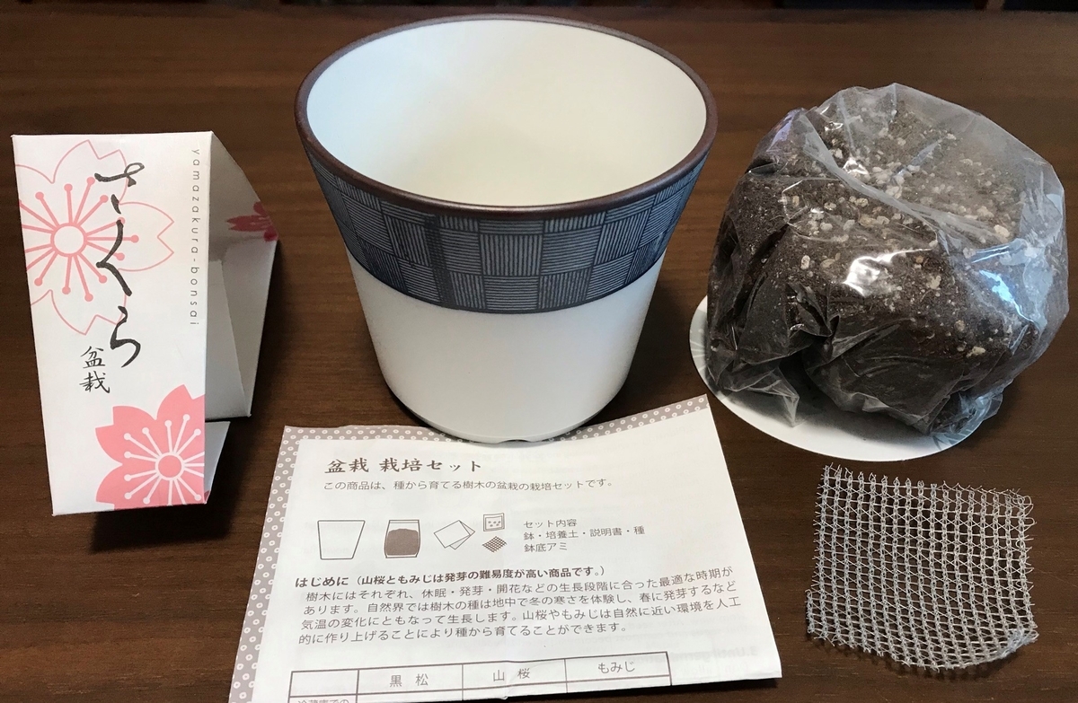 さくら盆栽 栽培セットを買いました Kazgoat S Blog