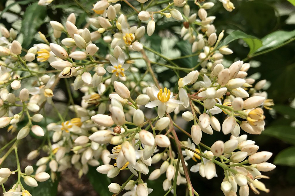 f:id:kazhomely:20180605004020j:plain f:id:kazhomely:20180605004020j:plain