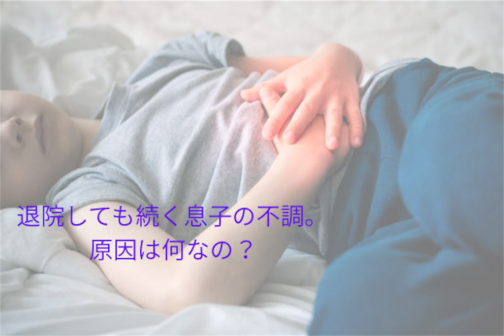 f:id:kazimei:20251117101514p:image