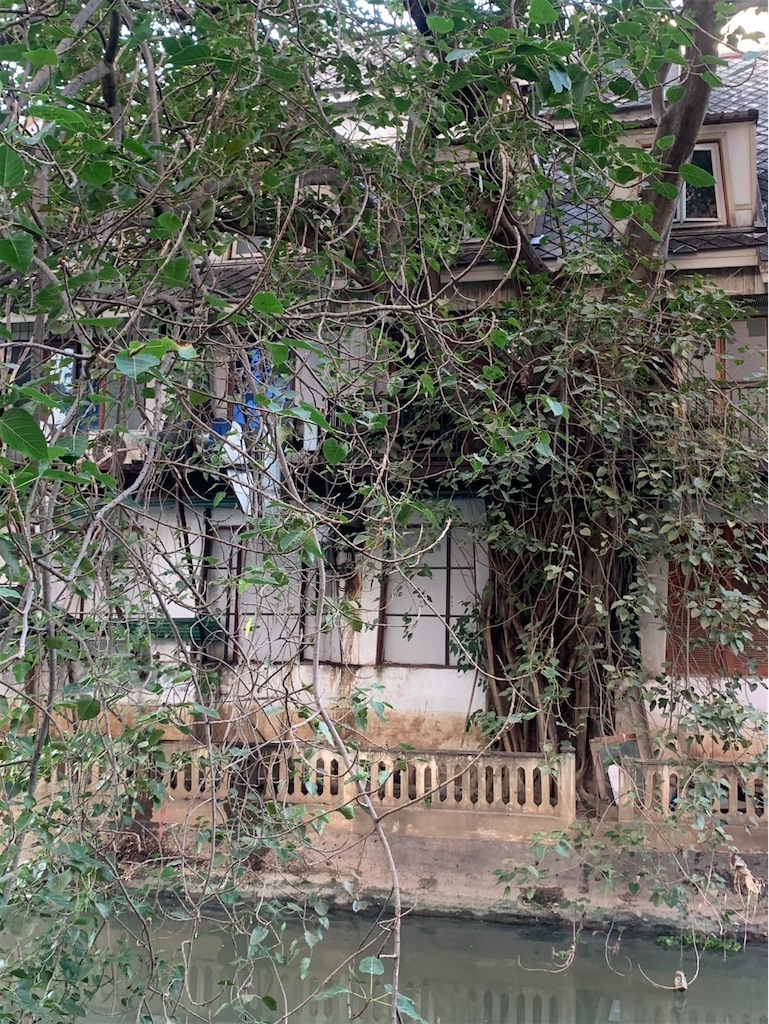 f:id:kaznoco:20250107141918j:image