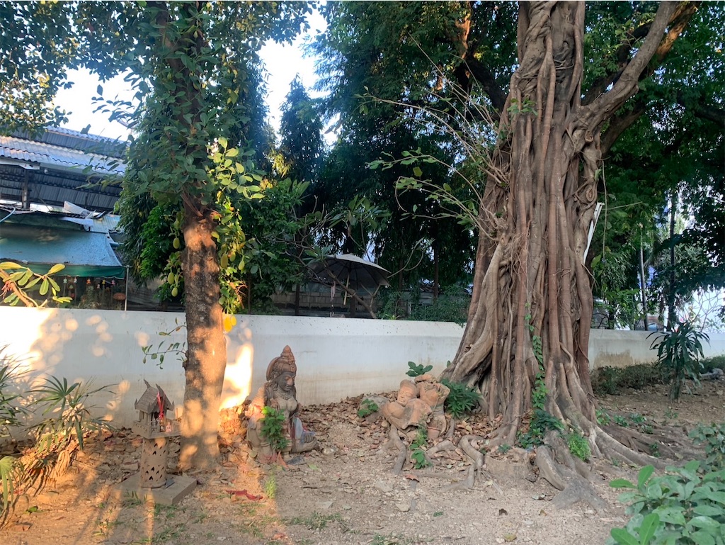 f:id:kaznoco:20250107142338j:image