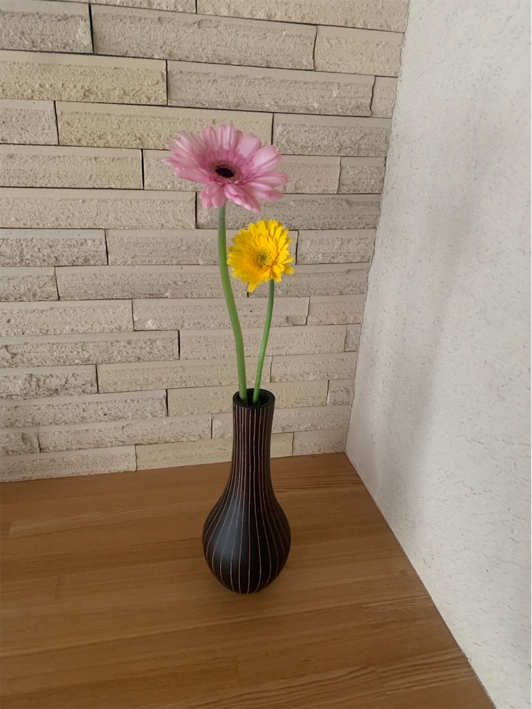 f:id:kaznoco:20250330072032j:image