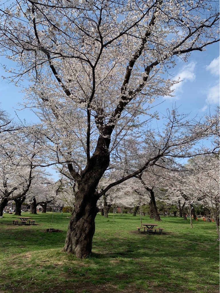 f:id:kaznoco:20250406090929j:image