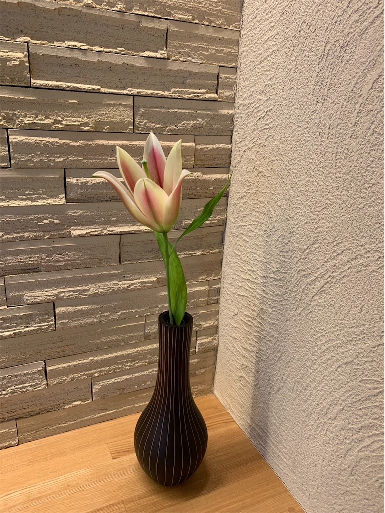 f:id:kaznoco:20250411084843j:image