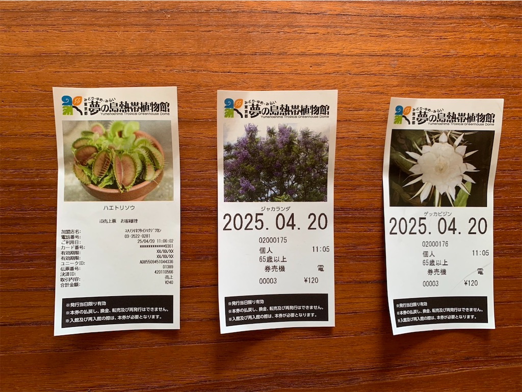 f:id:kaznoco:20250421090600j:image