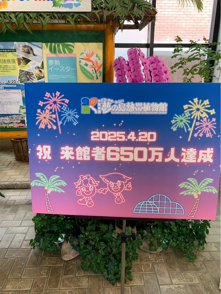 f:id:kaznoco:20250421090654j:image