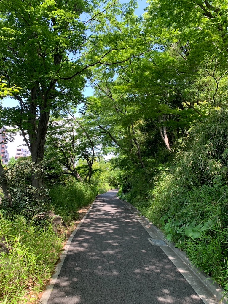 f:id:kaznoco:20250506093515j:image