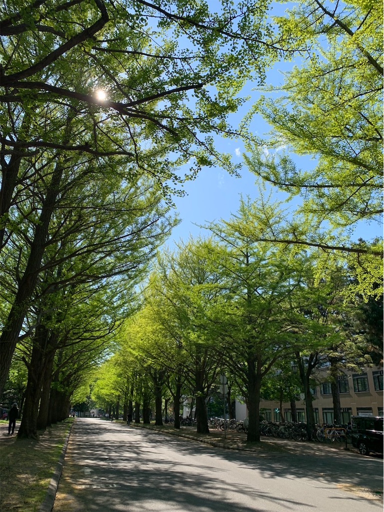 f:id:kaznoco:20250522085131j:image