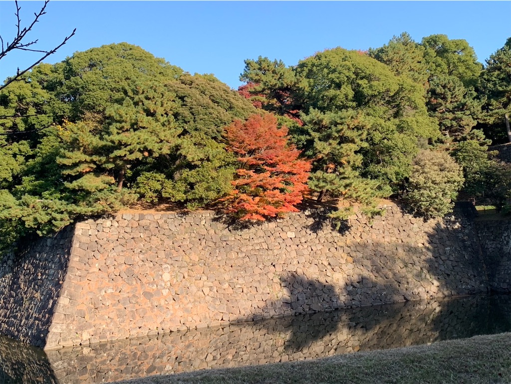 f:id:kaznoco:20251201102344j:image