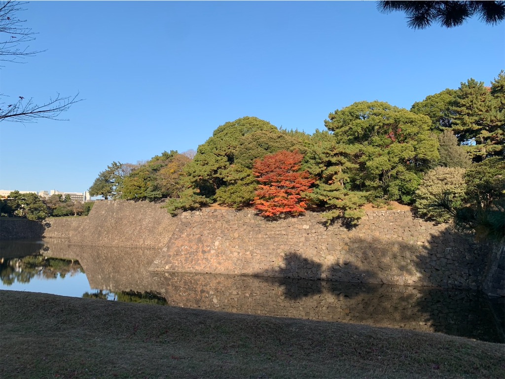 f:id:kaznoco:20251201102349j:image