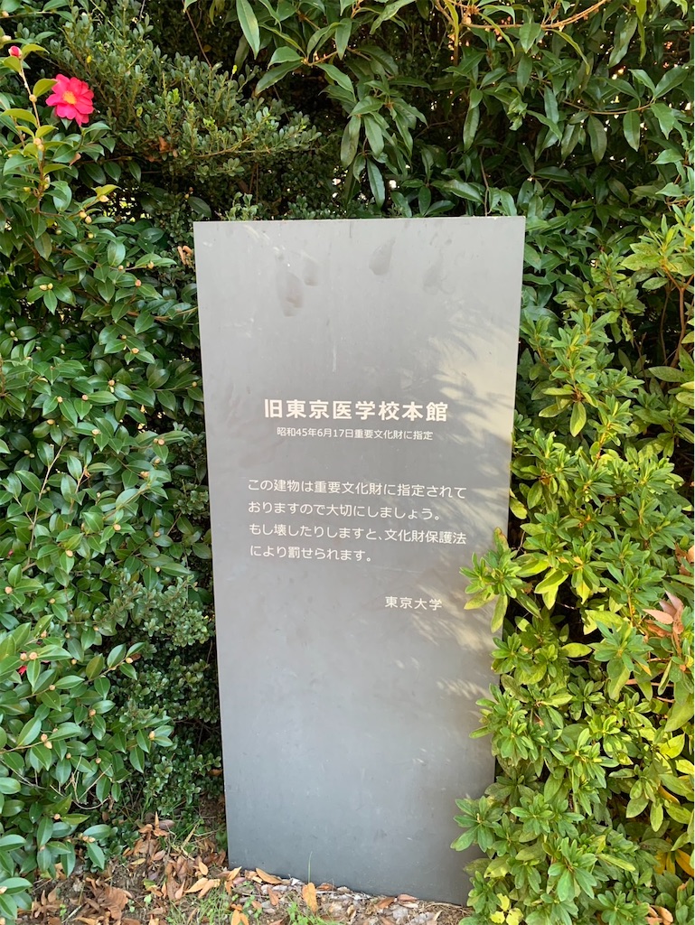f:id:kaznoco:20251201103304j:image