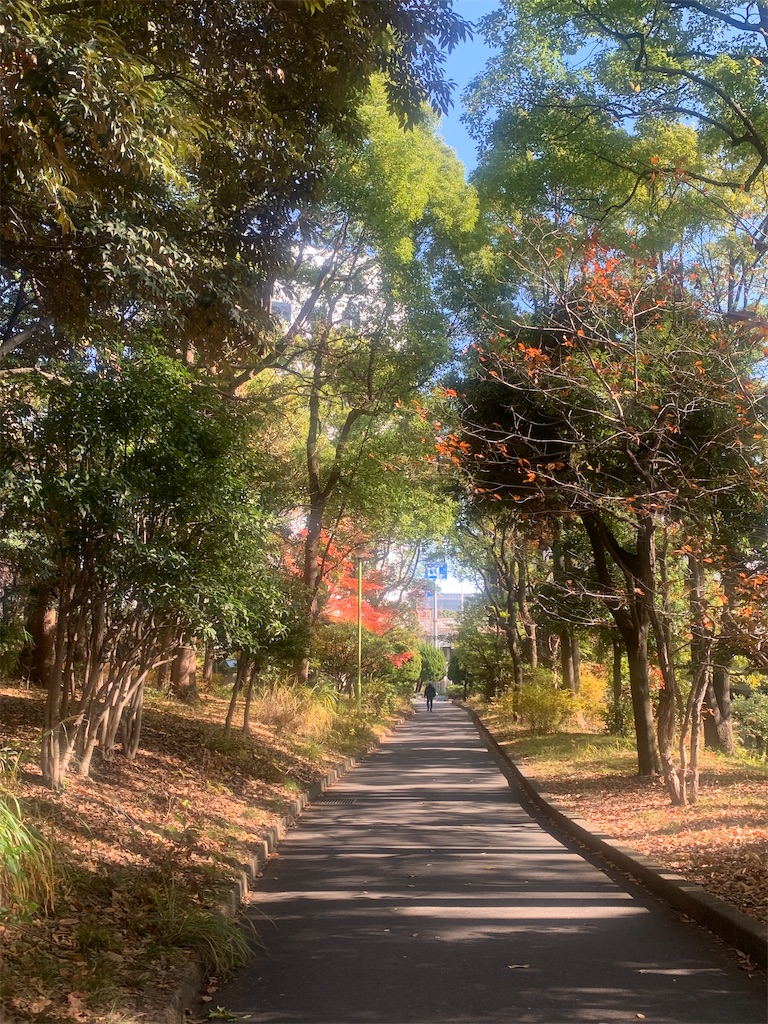 f:id:kaznoco:20251218062008j:image
