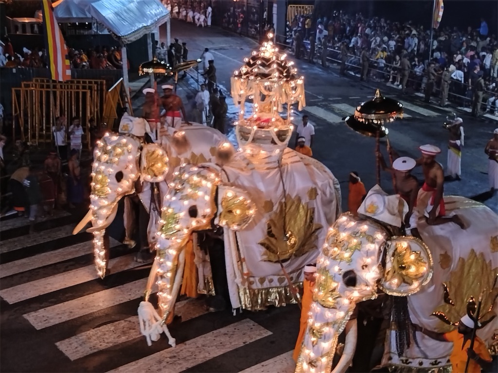 f:id:kaznoco:20251230210702j:image f:id:kaznoco:20251230210702j:image